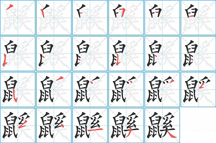 鼷的笔顺分步演示图